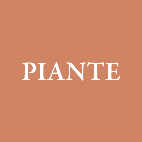 piante